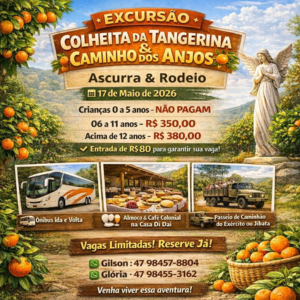 Excursões saindo de Joinville – Viagens com Conforto, Segurança e Diversão